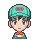 PSS-Icon Camper ORAS.png