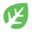Typ-Icon Pflanze SWSH.png